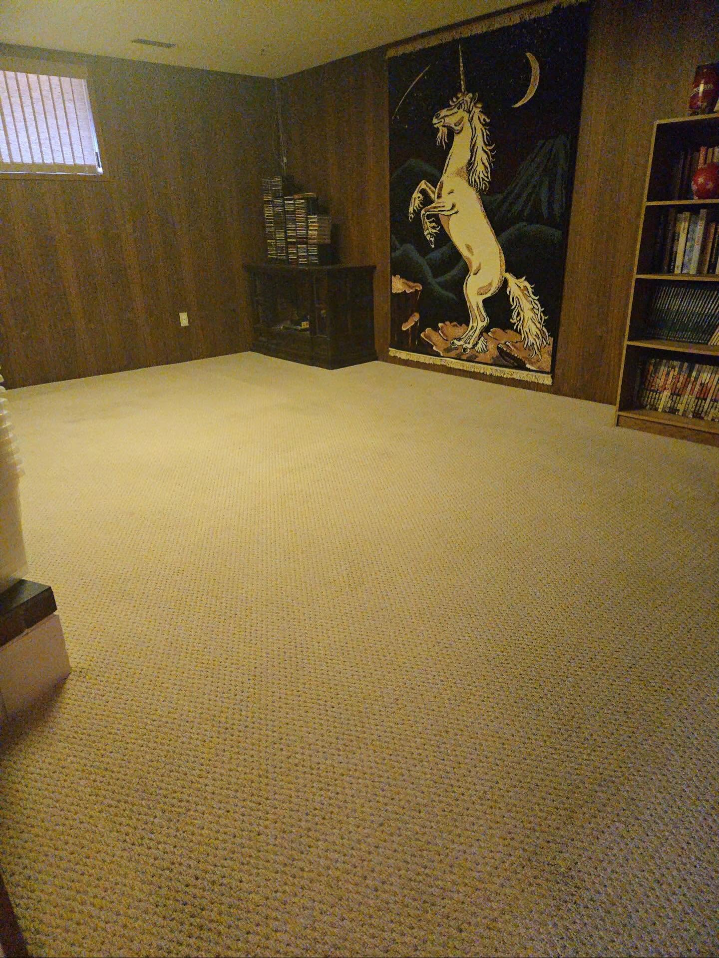 After — Before and after pet stain and spot removal on a basement rec room carpet