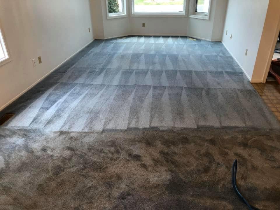 After — Before and after carpet cleaning in a Kelowna living room — soil lifted out of the traffic lanes
